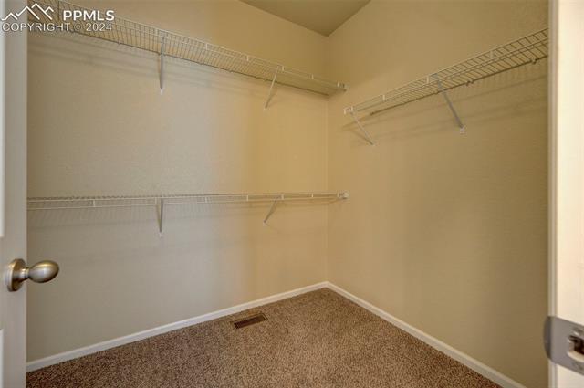 6241 Finglas Drive