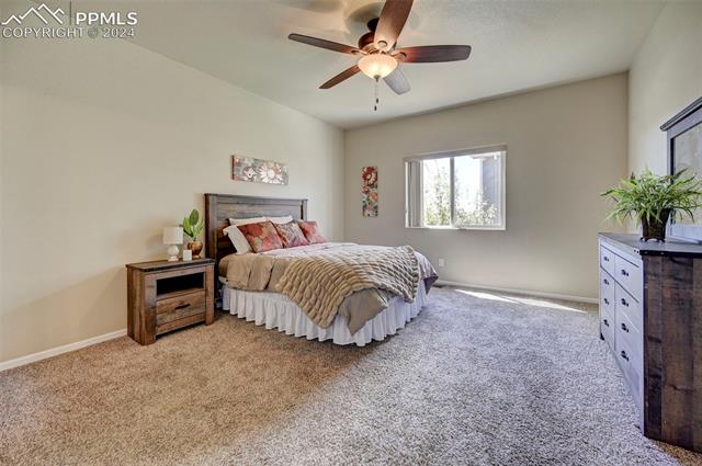 6241 Finglas Drive