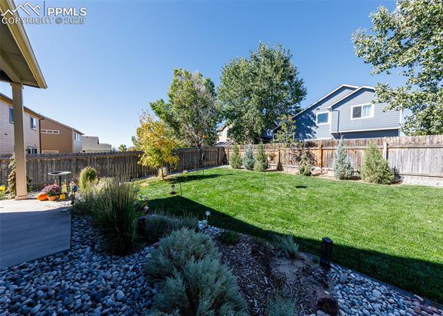 6829 Red Cardinal Loop