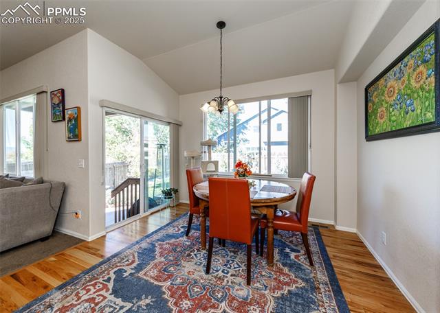 6829 Red Cardinal Loop