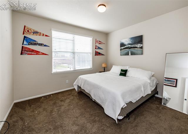 6829 Red Cardinal Loop