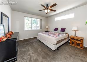 6829 Red Cardinal Loop