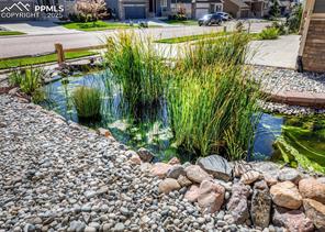 6829 Red Cardinal Loop