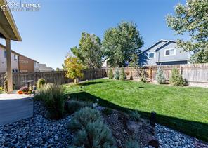 6829 Red Cardinal Loop