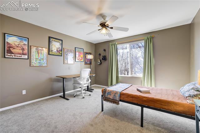 4548 Canyon Wren Lane