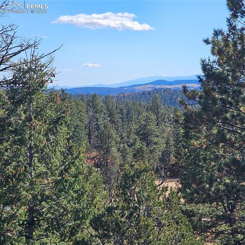 413 Pike View Drive