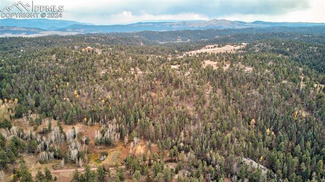 413 Pike View Drive