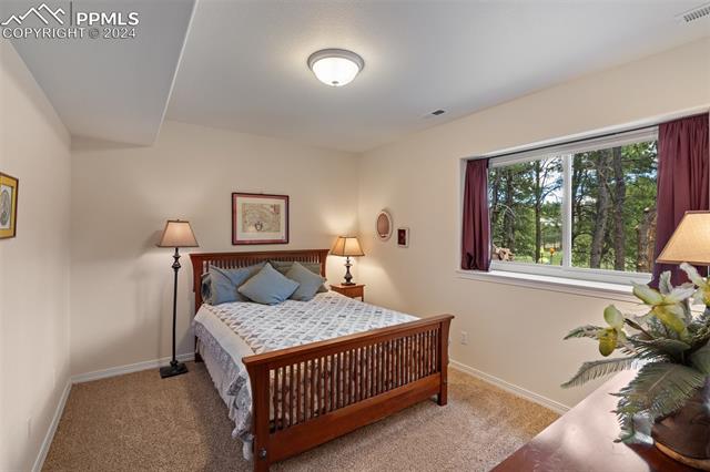 210 Saddlehorn Trail