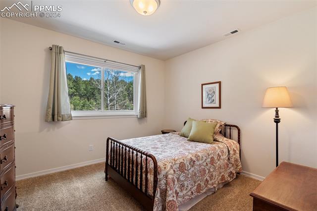 210 Saddlehorn Trail