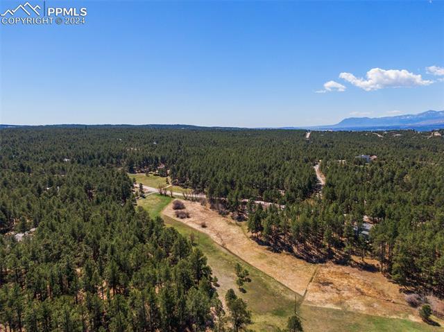 210 Saddlehorn Trail