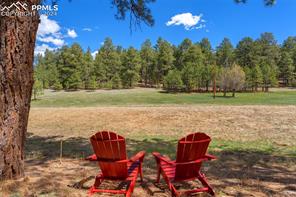210 Saddlehorn Trail