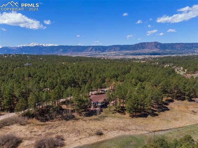 210 Saddlehorn Trail