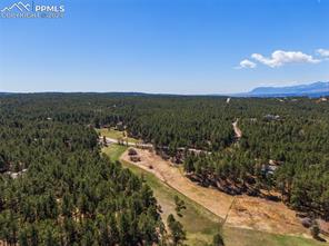 210 Saddlehorn Trail