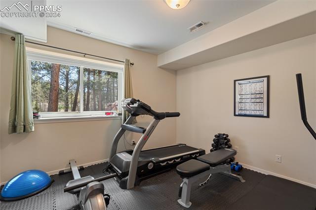 210 Saddlehorn Trail