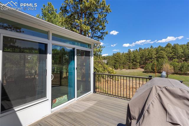 210 Saddlehorn Trail