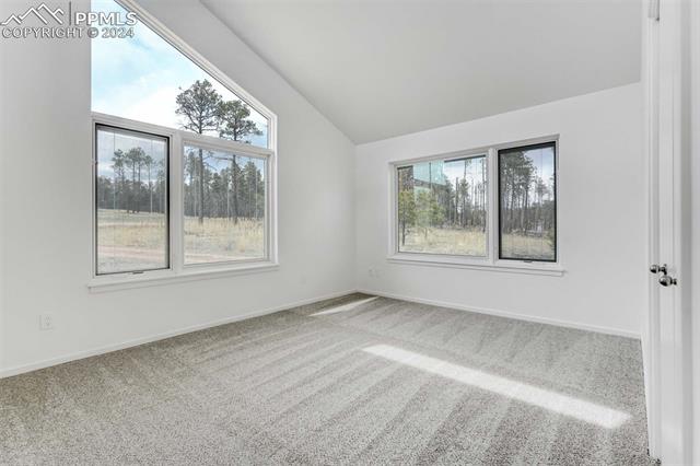 12725 Porcupine Lane