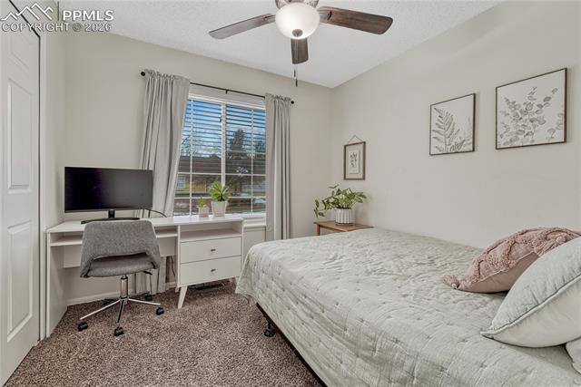 2935 Rolling Wood Loop