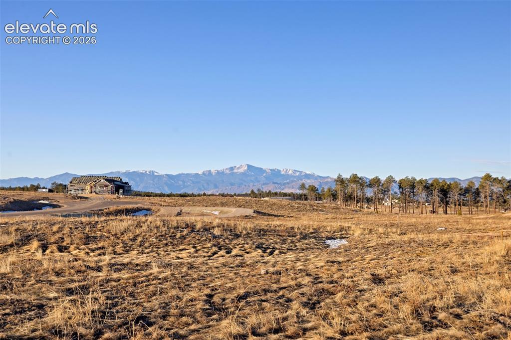 12691 Eagle Forest Road