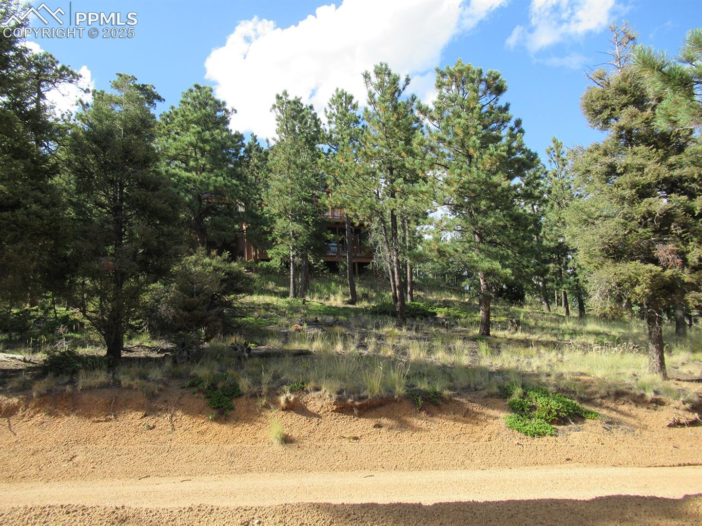 213 Coffee Pot Road