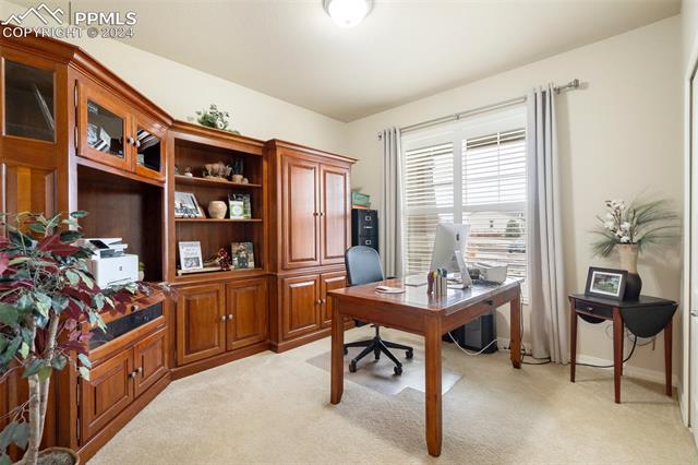 11501 Palmers Green Drive