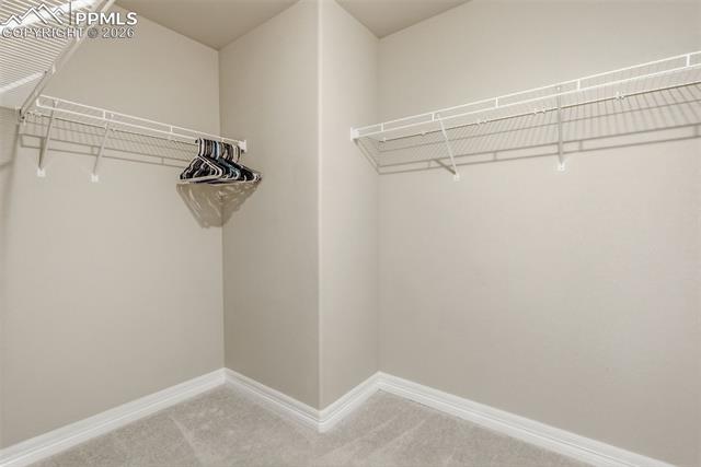 11170 Tarbell Drive
