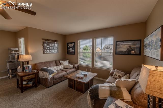6206 Finglas Drive