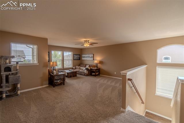 6206 Finglas Drive