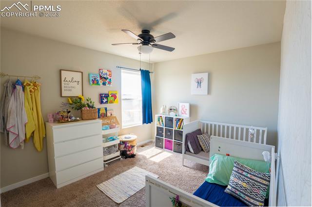 7248 Alpine Daisy Drive