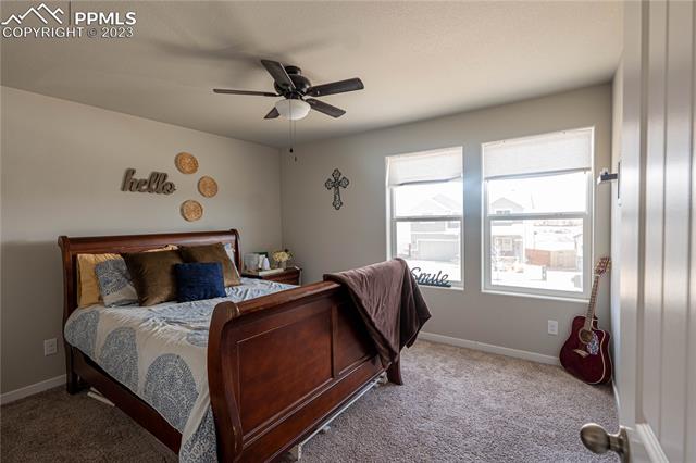 7248 Alpine Daisy Drive