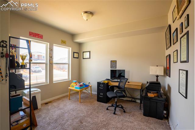 7248 Alpine Daisy Drive