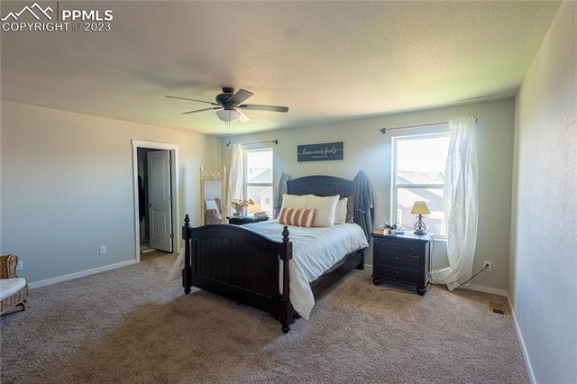 7248 Alpine Daisy Drive