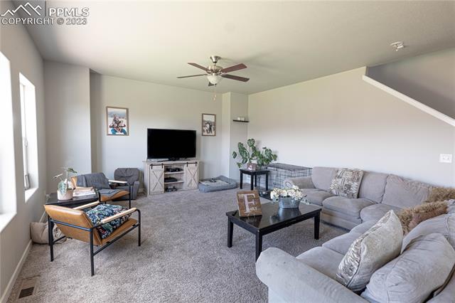 7248 Alpine Daisy Drive
