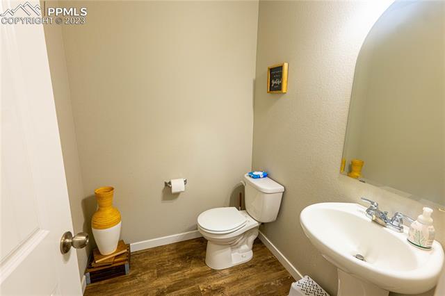 7248 Alpine Daisy Drive