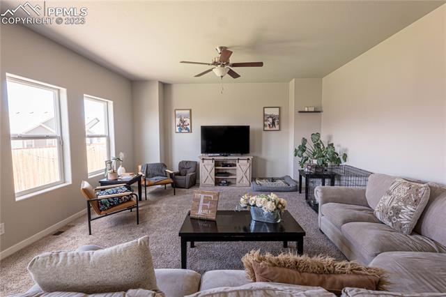 7248 Alpine Daisy Drive