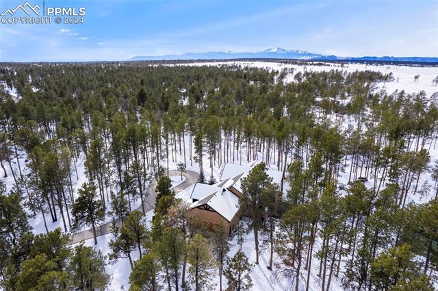 15054 Snowy Pine Point