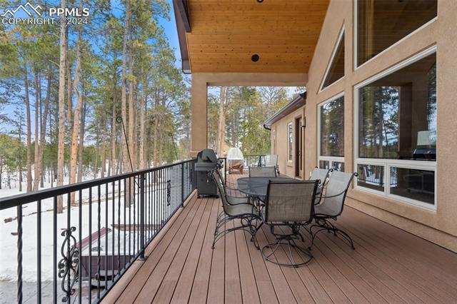 15054 Snowy Pine Point