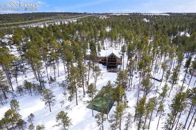 15054 Snowy Pine Point