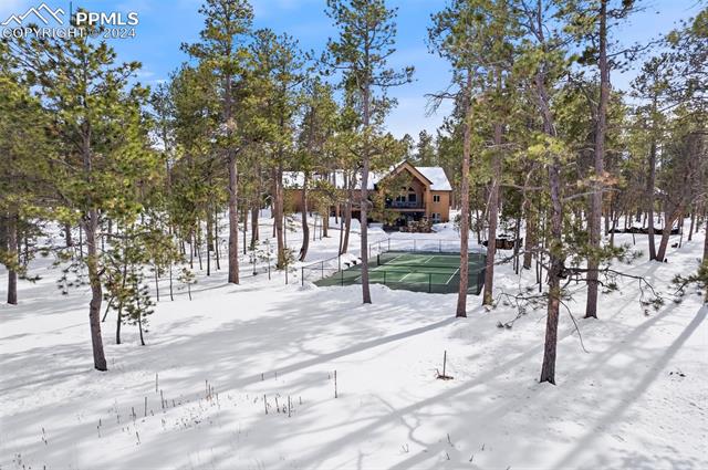 15054 Snowy Pine Point