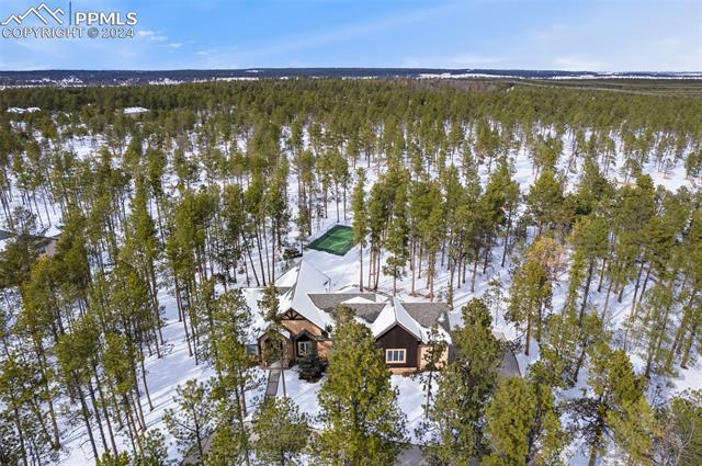 15054 Snowy Pine Point