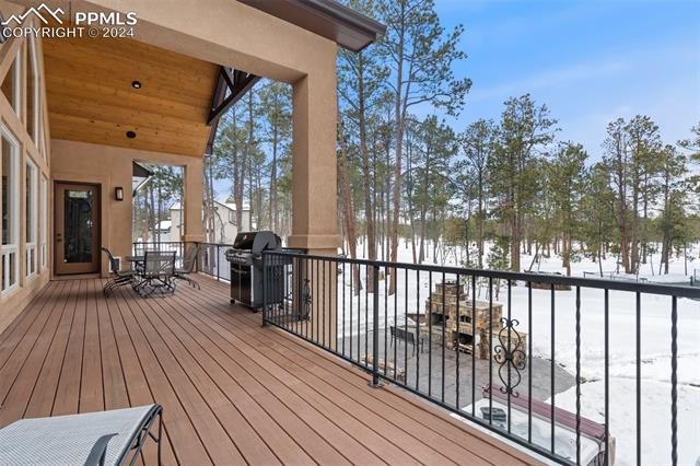 15054 Snowy Pine Point