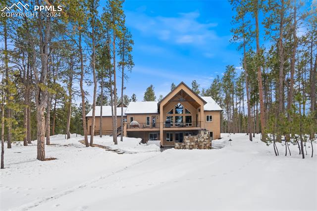 15054 Snowy Pine Point