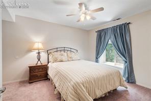 4135 Peach Lane