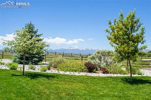 4135 Peach Lane