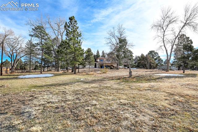 7386 Bell Drive