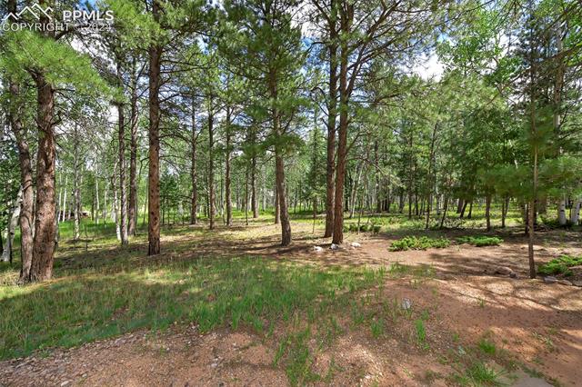 1390 Windflower Lane