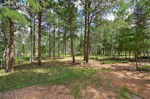 1390 Windflower Lane