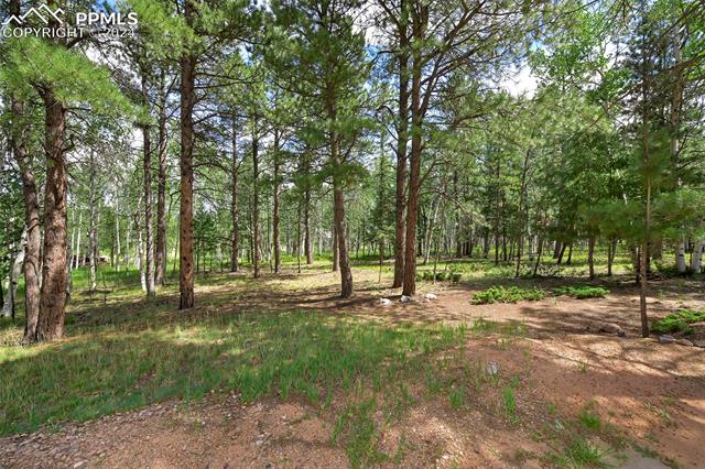 1390 Windflower Lane