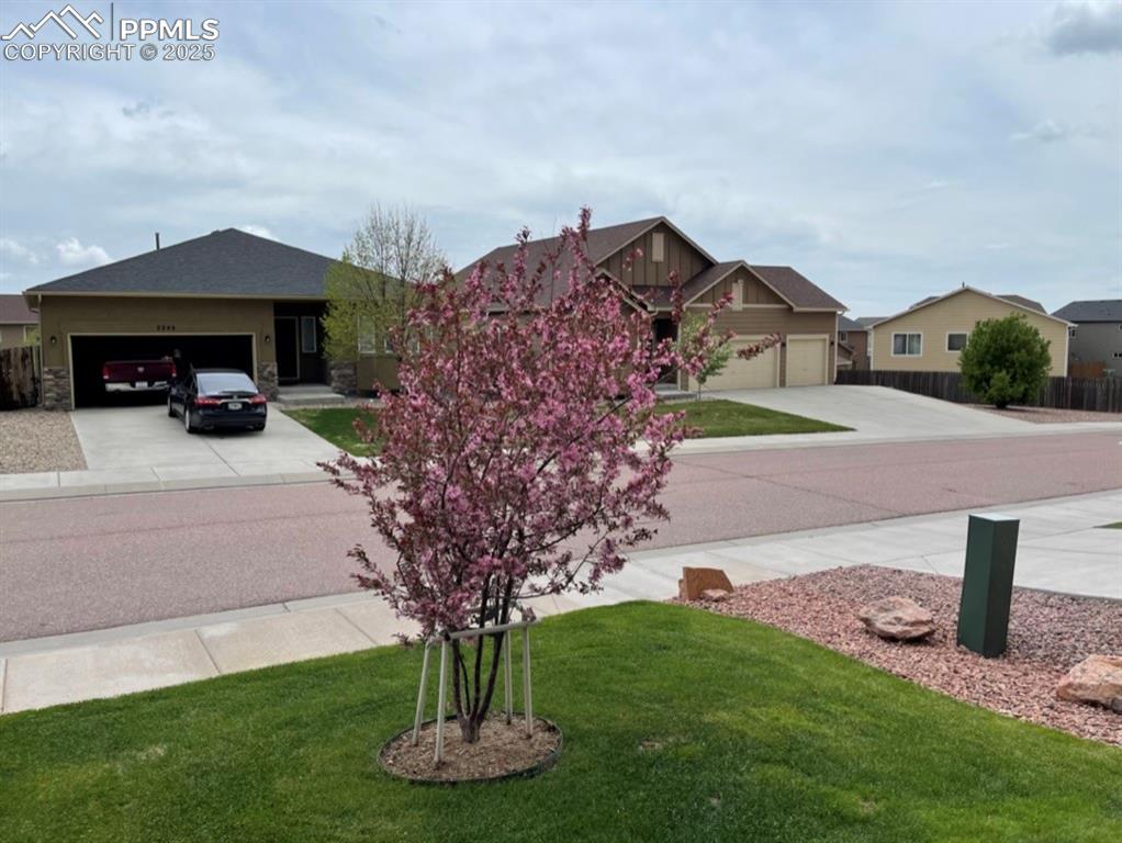 2254 Green Grass Court
