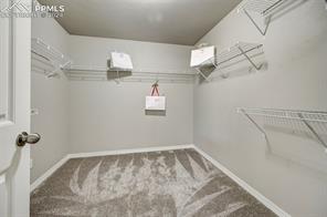 7366 Thorn Brush Way