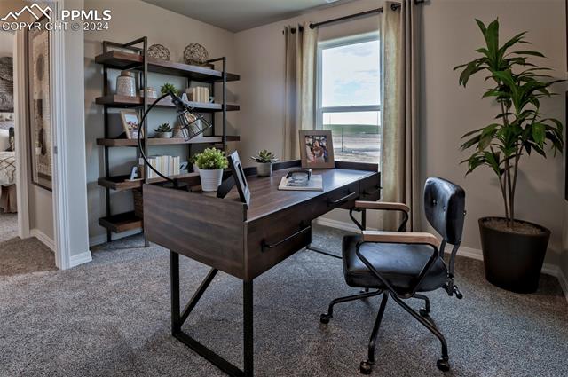 4922 Amazonite Drive